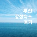 오션스카이가족호텔 이미지