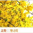 효신초교 이미지