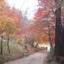 운림중학교 이미지