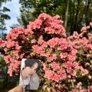 오늘의 편지💌#411📸 이미지