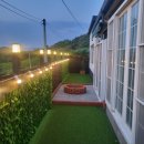 스테이더문 이미지