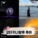 호텔 반딧불이 | 코타키나발루 투어 선셋 반딧불이 투어 시간 종류 가격 총정리
