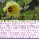 왕도에서 어원한다는 완도군은 세월호 참사의 주범인 유병언 일가를 명예훼손으로 피해배상 청구해라...[격암유록]남쪽바다 섬에서 진인이 출생한다..해도진인 이미지