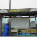 신풍교차로 4 Daum카페