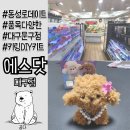 오랜만에 방문한 대구동성로 에스닷 l 댕댕이 키링 DIY 키트 만들기