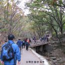 재경 진목국민학교 총동문회 수락산 친선 산행 이미지