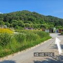 무릉도원면-34 이미지