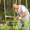 연백 이미지