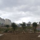 두리조경 이미지