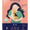 탑클래스 퍼피 이미지