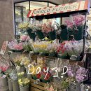 스테이식스 | 얼렁뚱땅 나 홀로 일본 도쿄 5박 6일 여행 3-3일차 : 긴자 이토야 문구점 팡메종 긴자 식스 시계탑