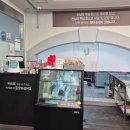 선상동로 | 구미 선산 맛집 구미닭불고기 방문 후기