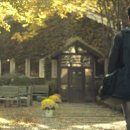 숲속의 섬 이미지