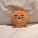카톡 - 구리시 체육관로 169 | 카톡