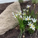 가드닝과 정원만들기 이미지