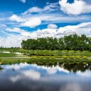 CC카써비스 이미지