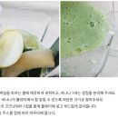 케일주스 이미지