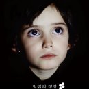 정령의숲 | 벌집의 정령 스페인 영화 조금 어렵네요