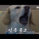 명창농장 이미지