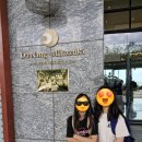 탑성인게임장 | 2026 다낭 미카즈키리조트 수영장, 조식 등 후기