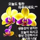 행복한하루 이미지