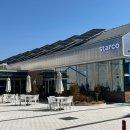 스타코(starco) 이미지