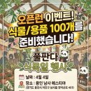 마켓풀