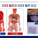 엔오바이오