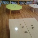송내초등학교병설유치원 이미지