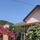 강동로3-17 이미지