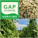 야곱의꿈농장 이미지