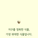 주식회사 민들레 이미지