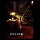 228-3-000088 | 용인 수영장 추천 리디자인호텔 편안함과 청결이 돋보이는 호텔