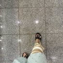 전동휠체어119 | 전방 십자인대파열 반월상연골 손상 수술후기