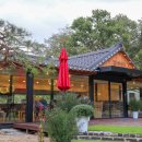 예이제448 이미지