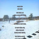 목화 - 의성군 안계길 166-1 | 목화