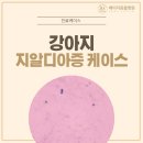 행복한우리아이 동물병원 | 제기동동물병원 새끼 강아지 지알디아 완치 후기 [베이지동물병원]