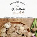 송원농기계센타 네이버블로그