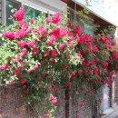 안양6동-1 이미지