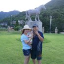 수리수리봉봉농가맛집 이미지