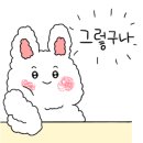 터틀디베이커리(Turtle.D Bakery) 이미지
