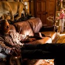 기묘한 여행 이미지