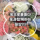 꽃으로물들다