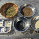 씨앗농부 이미지