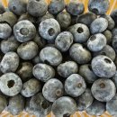 현주농장 2 이미지