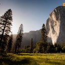 마이 피티(MY PT) 이미지