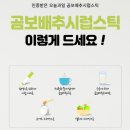 오늘 과일 이미지