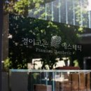 고은 에스테틱 이미지