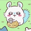 용경마을 | [일상]7시 반에 미용실에 왔는데