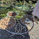 궁류목욕탕 이미지